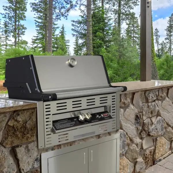 Built-In Grill Buying Guide